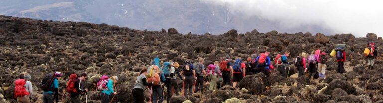 5-Day Rongai Route: Remote Trails & Elephant Sightings