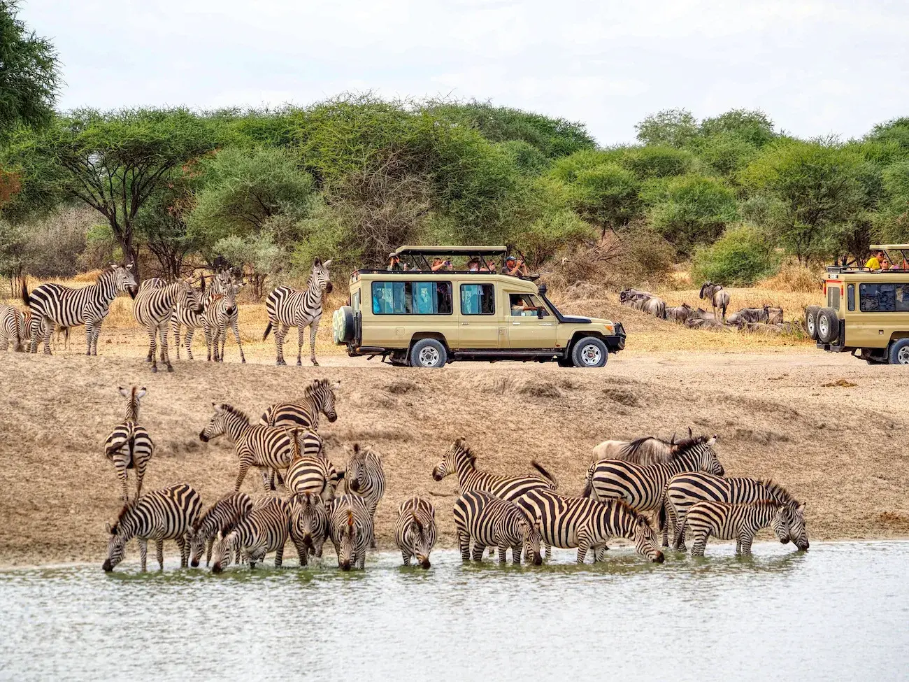 8-Day Luxury Northern Circuit Safari: Serengeti Wonders & Ngorongoro Crater