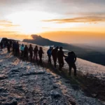 **Safari di Arrampicata Economici vs di Lusso: Differenze e Cosa Offrono**